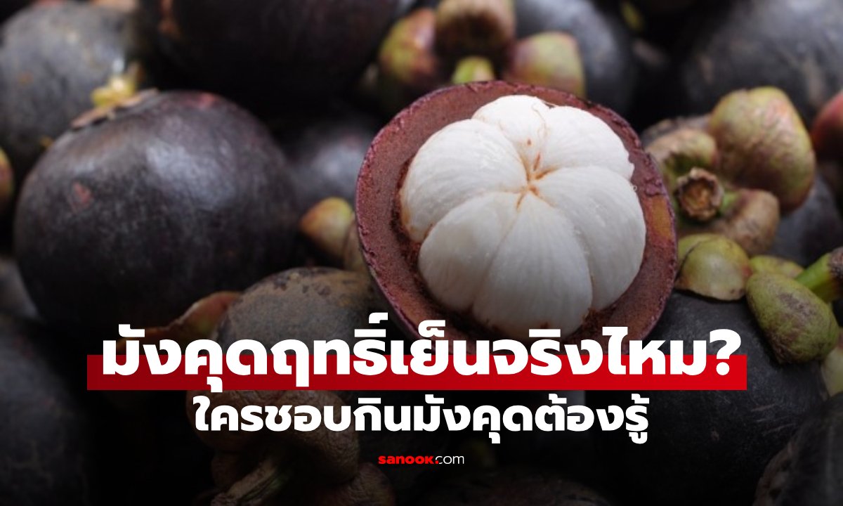 มังคุดเป็นผลไม้ฤทธิ์ร้อนหรือฤทธิ์เย็น? กินเยอะแล้วเป็นอะไรไหม หลายคนเข้าใจไม่ตรงกัน