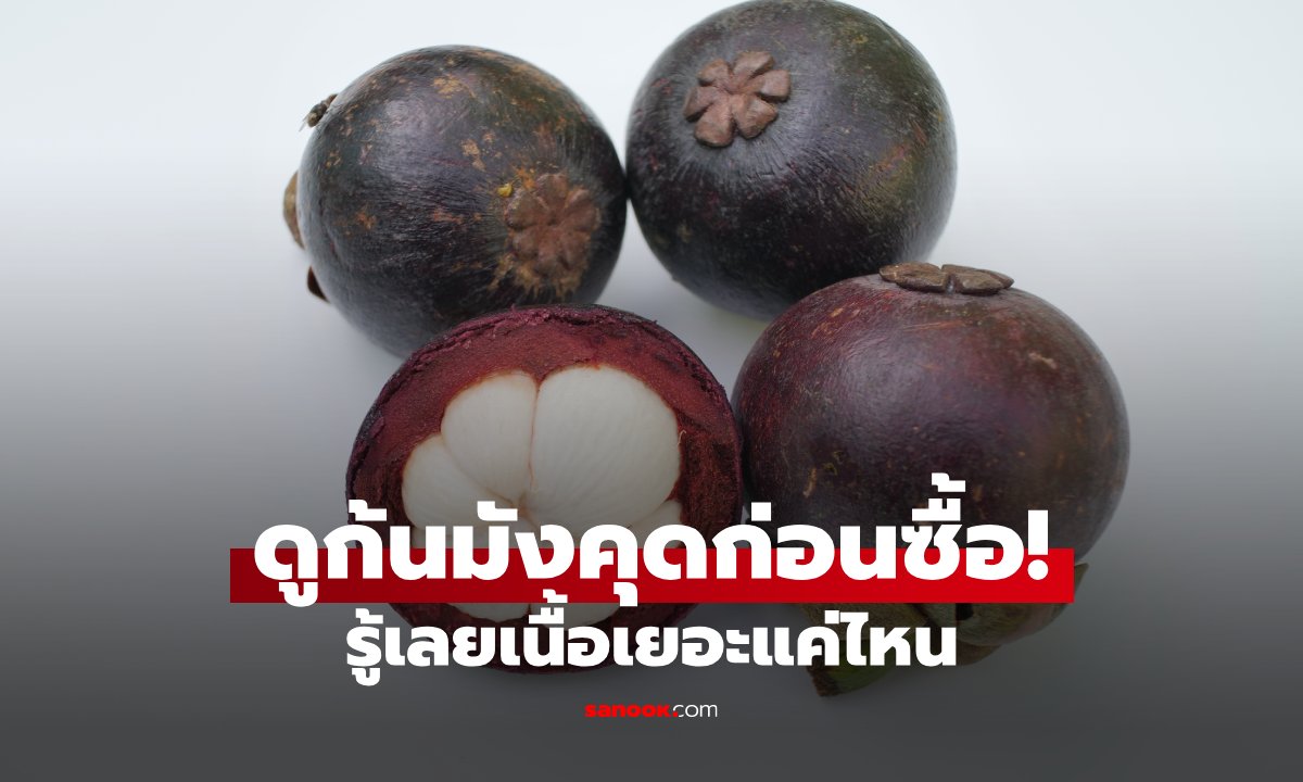 ดูก้นมังคุดแล้วรู้จำนวนเมล็ดได้จริงไหม? เทคนิคเลือกมังคุดเนื้อเยอะ เมล็ดเล็ก ที่หลายคนเพิ่งรู้