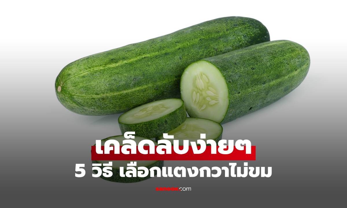 วิธีเลือกแตงกวาไม่ขม เคล็ดลับง่ายๆ มองด้วยตาเปล่าก็รู้เลย