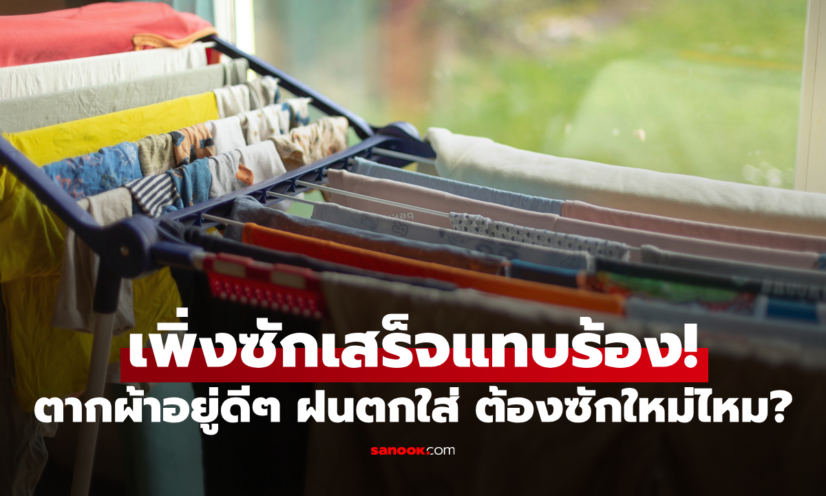 ตากผ้าอยู่ดีๆ ฝนตกใส่ ต้องซักใหม่ไหม? พร้อมวิธีป้องกันกลิ่นอับช่วงหน้าฝน