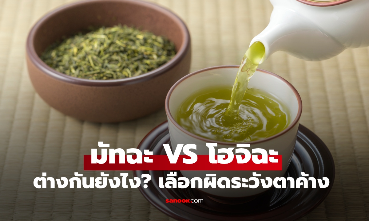 ความลับสายชาเขียว! มัทฉะ VS โฮจิฉะ ต่างกันยังไง? เลือกผิดระวังตาค้าง