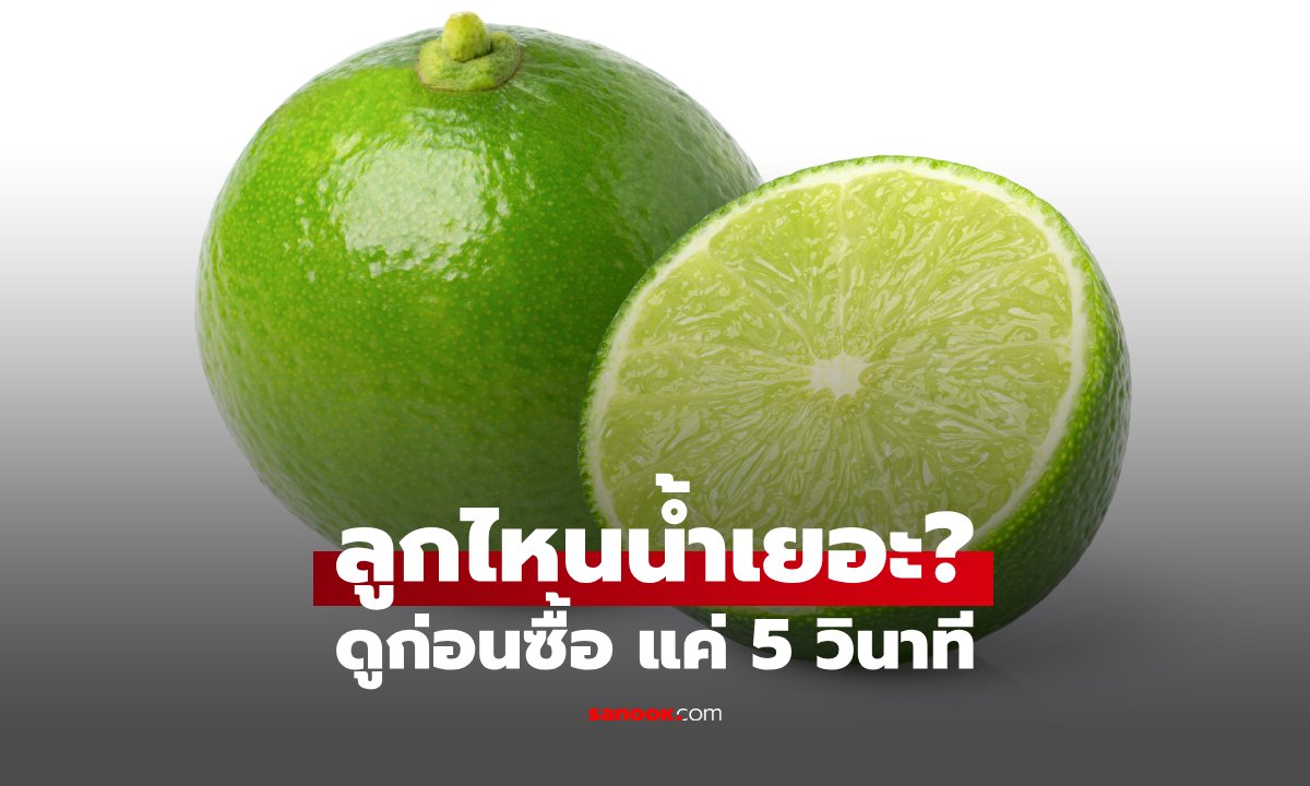 ภาพมะนาวน้ำเยอะดูยังไง? รวมวิธีเลือกมะนาวก่อนซื้อ ไม่ต้องผ่าก็สังเกตได้