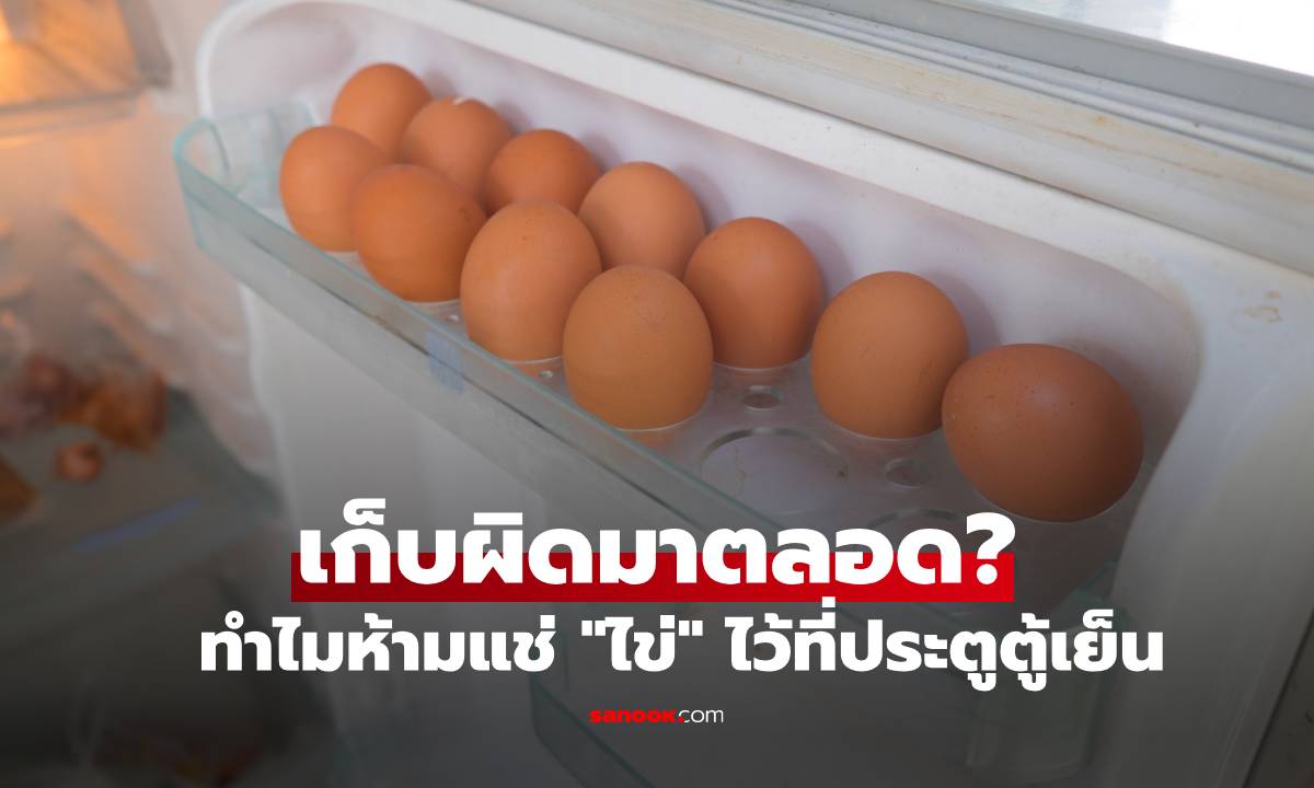 เก็บผิดที่มาตลอด? ทำไมห้ามแช่ "ไข่" ไว้ที่ประตูตู้เย็น พร้อมจุดวางที่ดีที่สุด