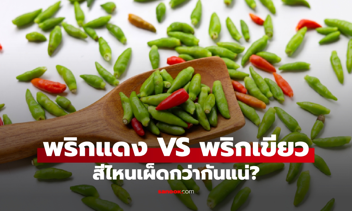 ดวลแซ่บ! พริกแดง กับ พริกเขียว สีไหนเผ็ดกว่ากัน?