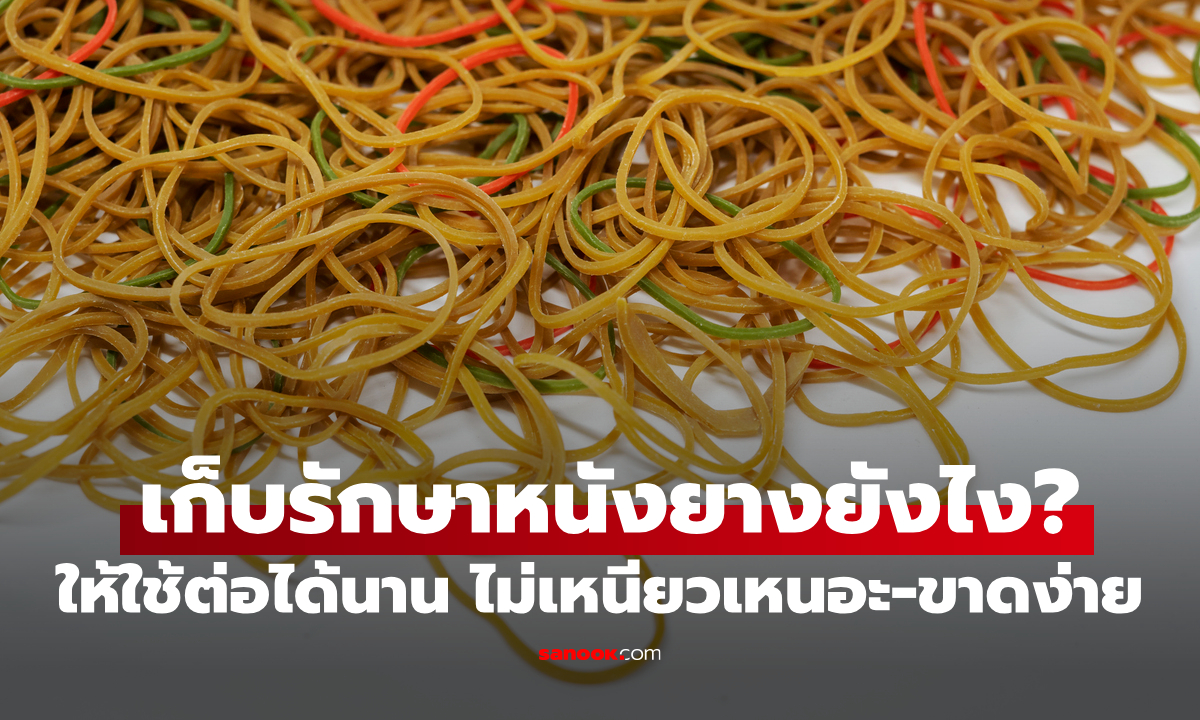 วิธีเก็บหนังยางให้ใช้ต่อได้นาน เหนียวทน ไม่กรอบขาด อยู่ได้นานเป็นปี