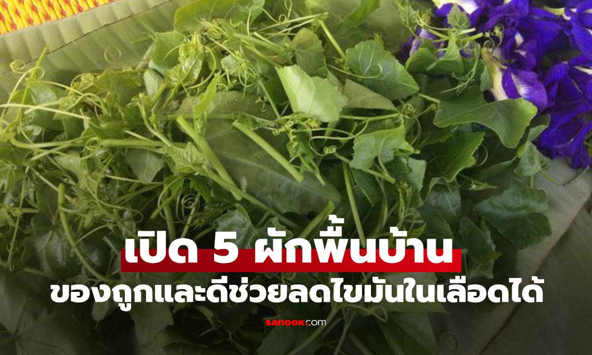 เปิด 5 ผักพื้นบ้าน ของถูกและดีมีอยู่จริง ผักบ้านบ้านแต่ช่วยลดไขมันในเลือดได้