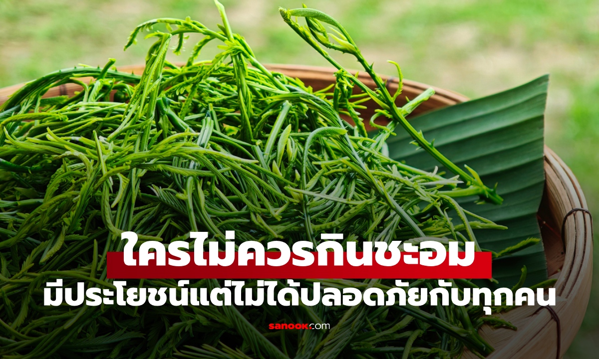 ใครไม่ควรกิน "ชะอม" ผักพื้นบ้านกลิ่นแรง มีประโยชน์แต่ไม่ได้ปลอดภัยกับทุกคน