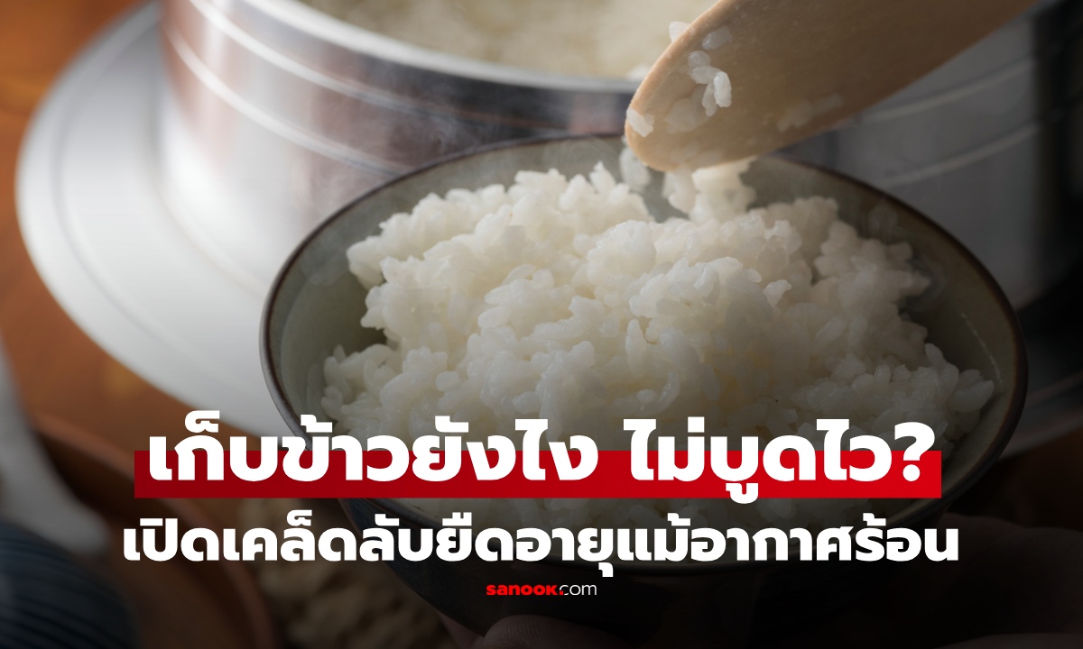 "ข้าวสุก" วางไว้กี่ชั่วโมงเสี่ยงบูด? เปิดเคล็ดลับเก็บข้าวยังไง ยืดอายุไม่ให้เสียไวแม้อากาศร้อน
