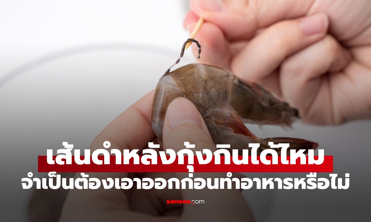 ไขข้อสงสัย "เส้นดำหลังกุ้ง" กินได้ไหม จำเป็นต้องเอาออกก่อนทำอาหารหรือไม่?