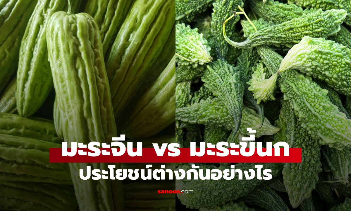 มะระ vs มะระขี้นก ประโยชน์ต่างกันอย่างไร กินแบบไหนดีกว่ากัน?