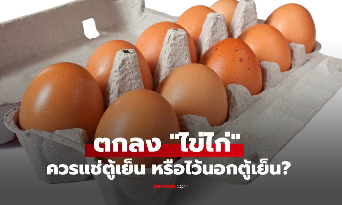 ตกลง "ไข่ไก่" ควรแช่ตู้เย็น หรือไว้นอกตู้เย็น? เผยวิธีเก็บที่ถูกต้องที่หลายคนยังทำผิด!