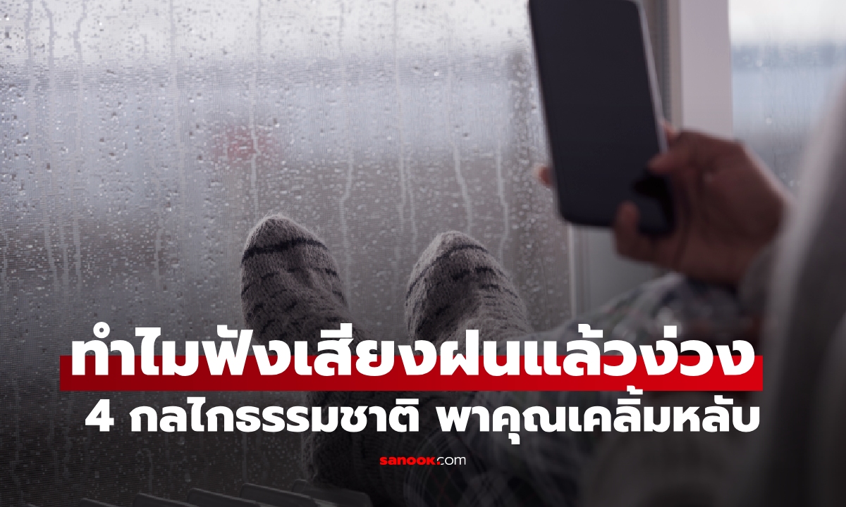 รู้แล้วอึ้ง! ทำไมฟังเสียงฝนแล้วง่วง เผย 4 กลไกธรรมชาติที่สะกดสมองคุณ