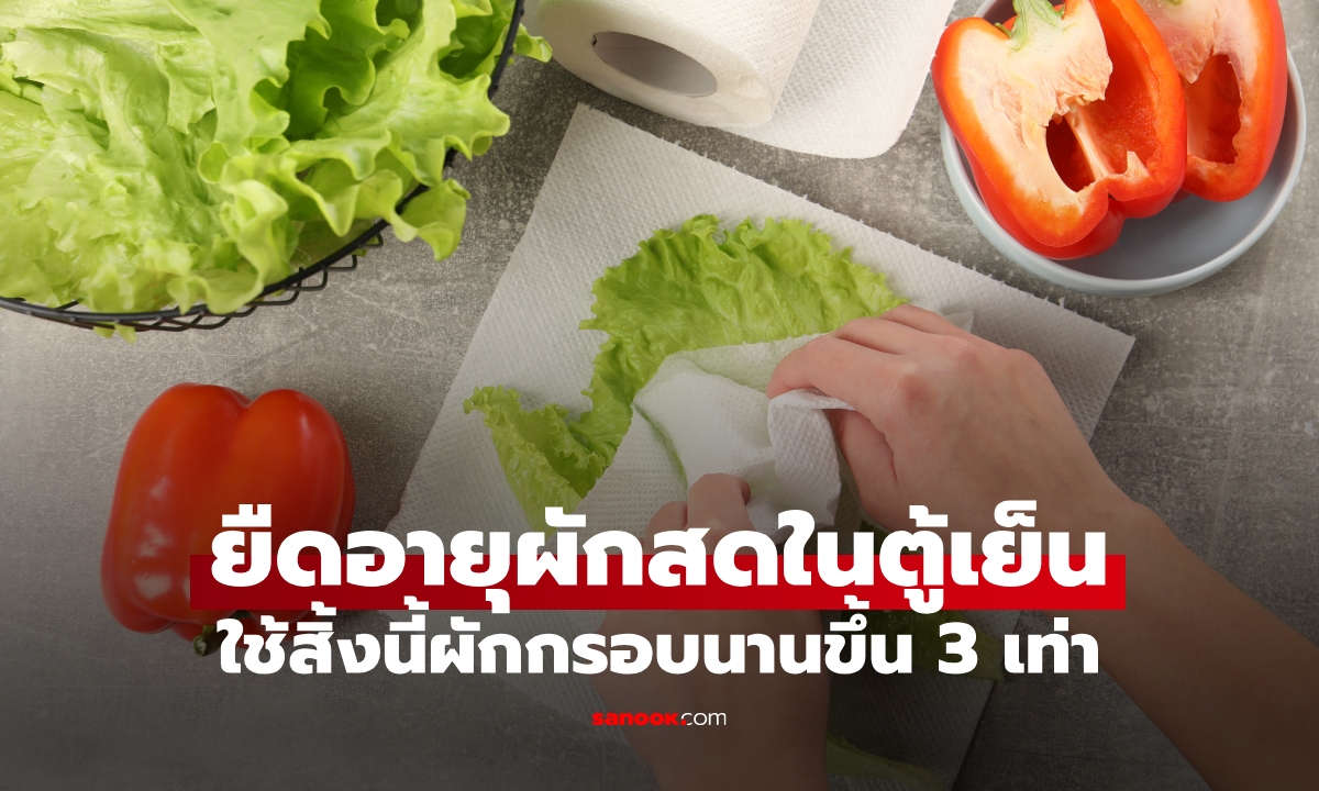 ทำแบบนี้ผักกรอบนานแน่! ยืดอายุผักสดในตู้เย็นด้วยสิ้งนี้