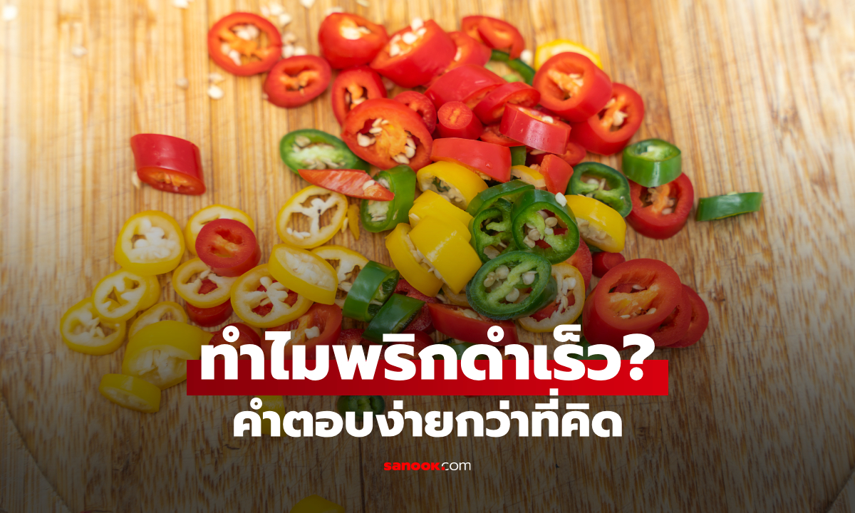 พริกหั่นไว้แล้วดำ ทำไงดี? 6 วิธีเก็บพริกไม่ให้ดำคล้ำ สีสดเหมือนเพิ่งหั่น ใช้ได้นาน