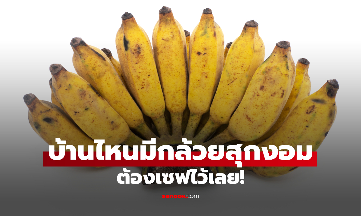 กล้วยน้ำว้าสุกงอม อย่าเพิ่งทิ้ง! แจก 15 เมนูอร่อย ทำง่าย ได้ทั้งของหวาน ของว่าง และสายสุขภาพ