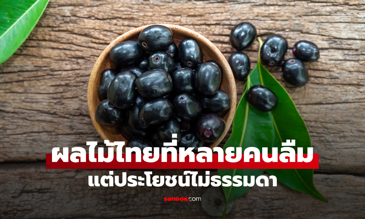 ลูกหว้า ผลไม้ไทยโบราณที่หลายคนลืม แต่สารต้านอนุมูลอิสระสูง กินแล้วดีต่อสุขภาพจริงไหม?