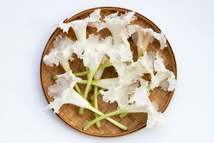 ดอกแคนา