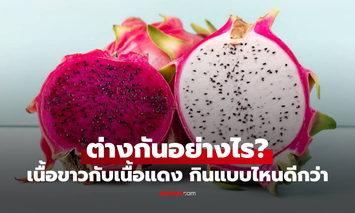 "แก้วมังกร" เนื้อขาวกับเนื้อแดง ต่างกันอย่างไร กินแบบไหนดีกว่า?
