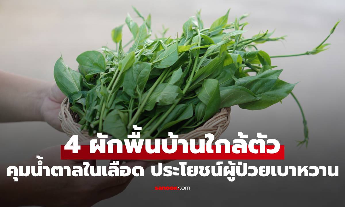 4 ผักพื้นบ้านใกล้ตัว ช่วยควบคุมน้ำตาลในเลือด มีประโยชน์กับผู้ป่วยเบาหวาน