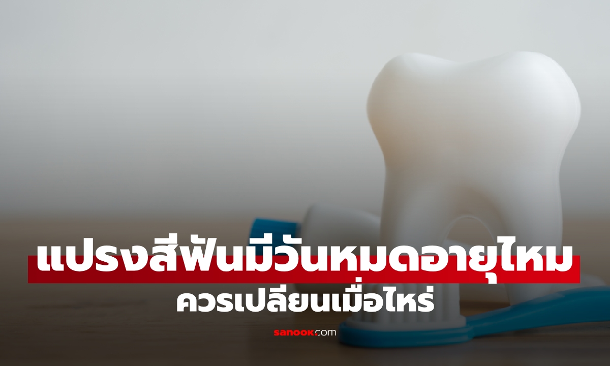 ใช้มานานกี่เดือนแล้ว? แปรงสีฟันมีวันหมดอายุไหม เช็กระยะเวลาเปลี่ยน