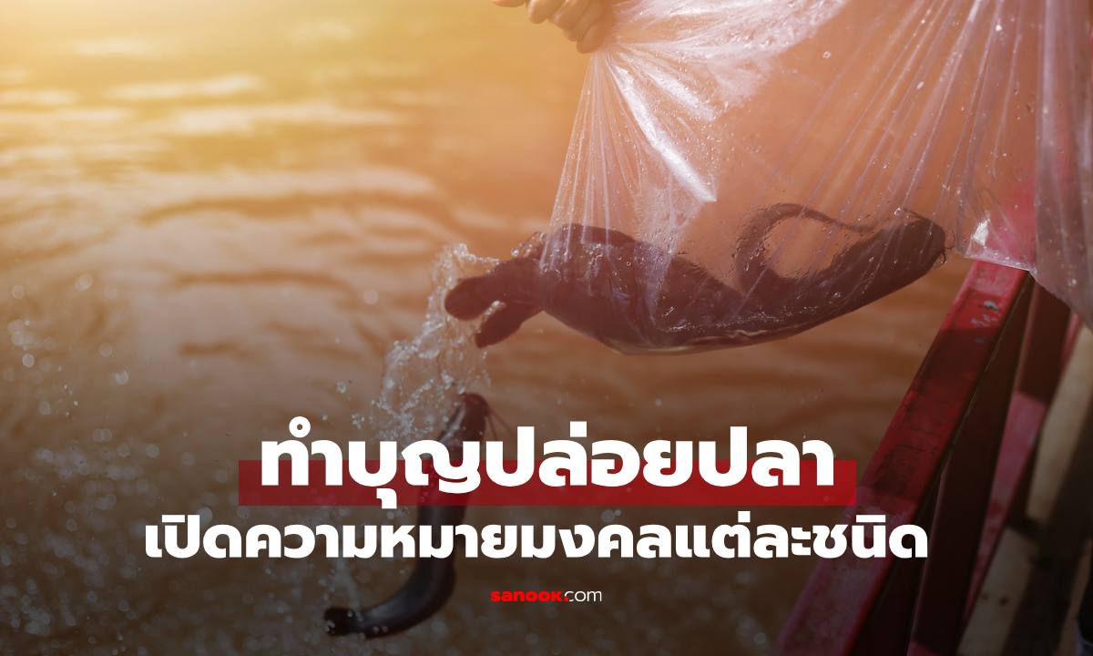 "ทำบุญปล่อยปลา" เปิดความหมายมงคลแต่ละชนิด แนวทางตามวันเกิด