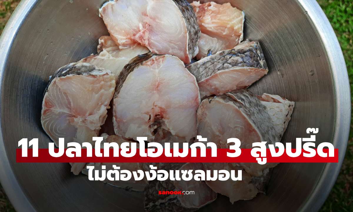 11 ปลาไทยโอเมก้า 3 สูงปรี๊ด ไม่ต้องง้อแซลมอน ราคาประหยัด สุขภาพดีได้ทุกวัน