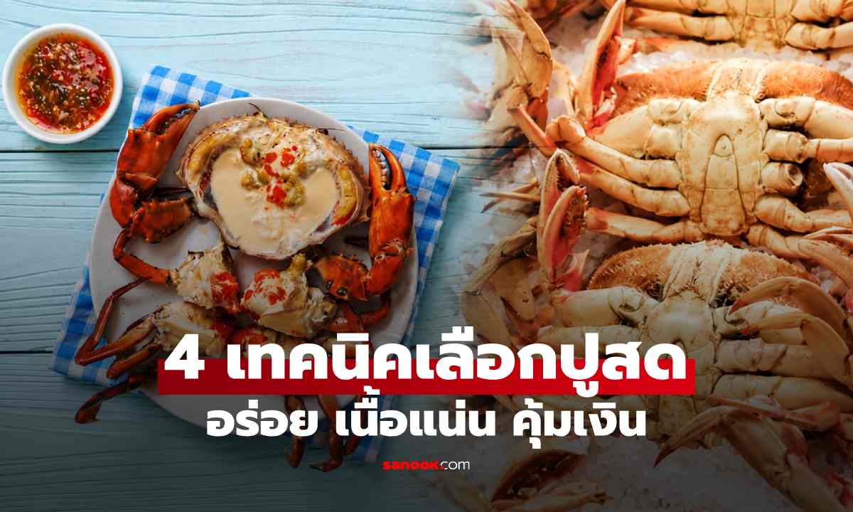 ซื้อปูทั้งที อย่าดูแค่ขนาด 4 เทคนิคเลือกปูสดให้อร่อย เนื้อแน่น คุ้มเงิน