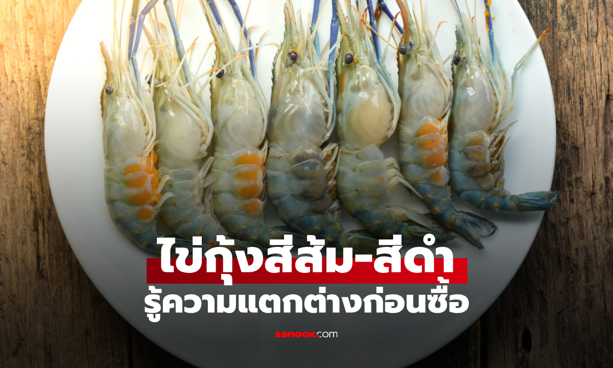 ไขข้อสงสัย! ทำไมไข่กุ้งมีทั้งสีส้ม และสีดำ ต่างกันอย่างไร รู้ความต่างก่อนเลือกซื้อกุ้ง