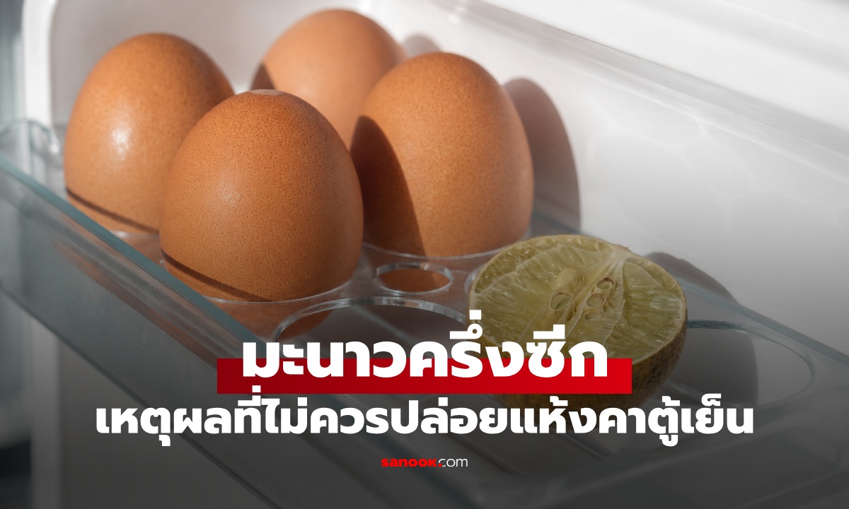 เหตุผลที่ไม่ควรปล่อย "มะนาว" เหลือครึ่งซีกแห้งคาตู้เย็น หลายคนพลาดไม่รู้ตัว