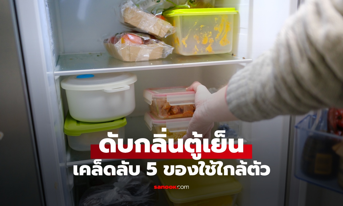 5 ของใช้ใกล้ตัว "ดับกลิ่นตู้เย็น" ลดเหม็นอับ ดูดความชื้น เคล็ดลับง่ายๆ ได้ผลน่าทึ่ง