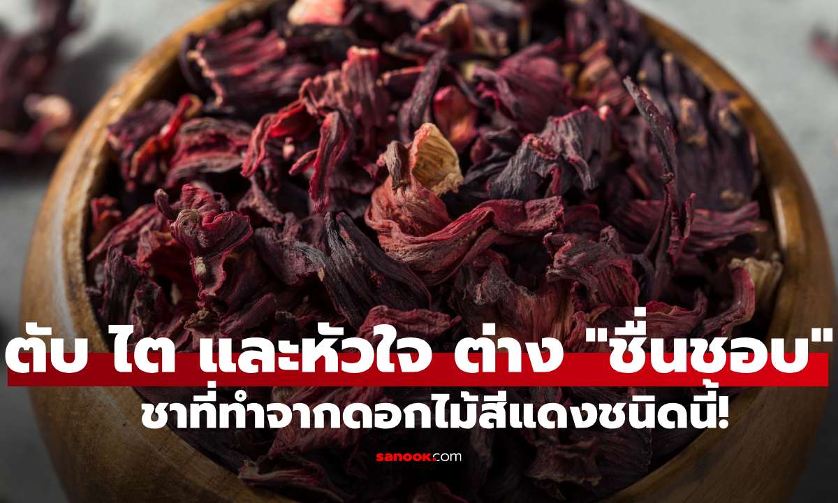 ตับ ไต และหัวใจ ต่าง "ชื่นชอบ" ชาชนิดนี้! ดอกไม้ริมรั้วสีแดงบ้านเราที่หลายคนมองข้าม