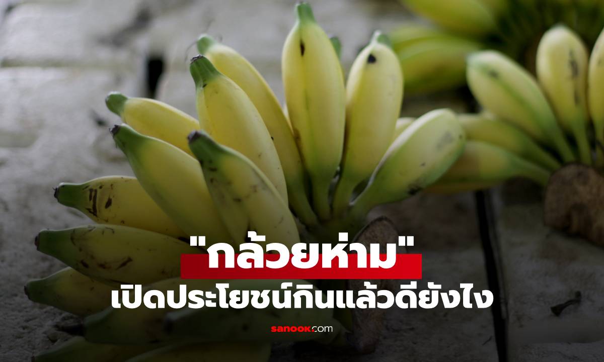 "กล้วยห่าม" ผลไม้ที่หลายคนมองข้าม เปิดประโยชน์กินแล้วดียังไง
