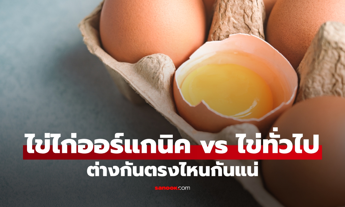 ไข่ไก่ออร์แกนิค กับ ไข่ไก่ทั่วไป ต่างกันยังไง ส่องประโยชน์
