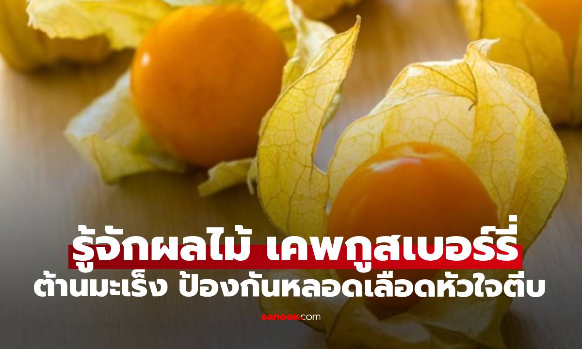 รู้จักผลไม้ "เคพกูสเบอร์รี่" ลูกเล็กประโยชน์แน่น ต้านมะเร็ง ป้องกันหลอดเลือดหัวใจตีบ