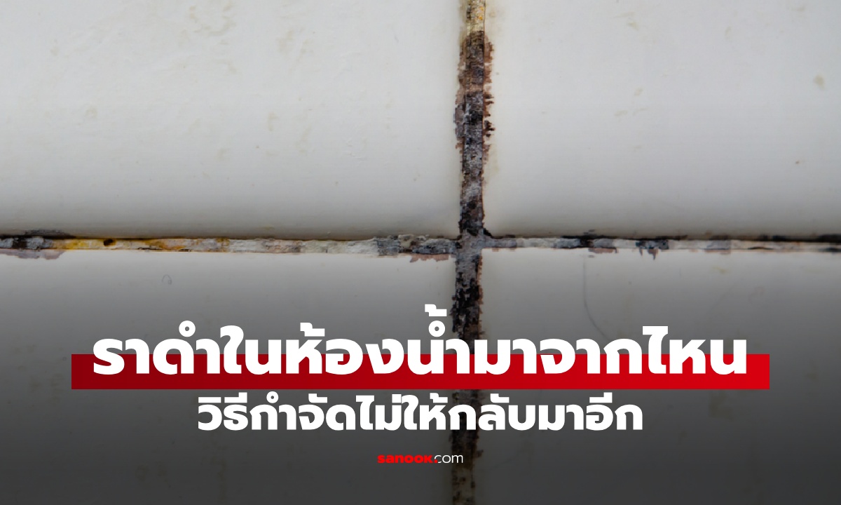 ราดำในห้องน้ำ เกิดจากอะไร? ปล่อยทิ้งไว้อันตรายไหม วิธีกำจัดเชื้อราไม่ให้กลับมา