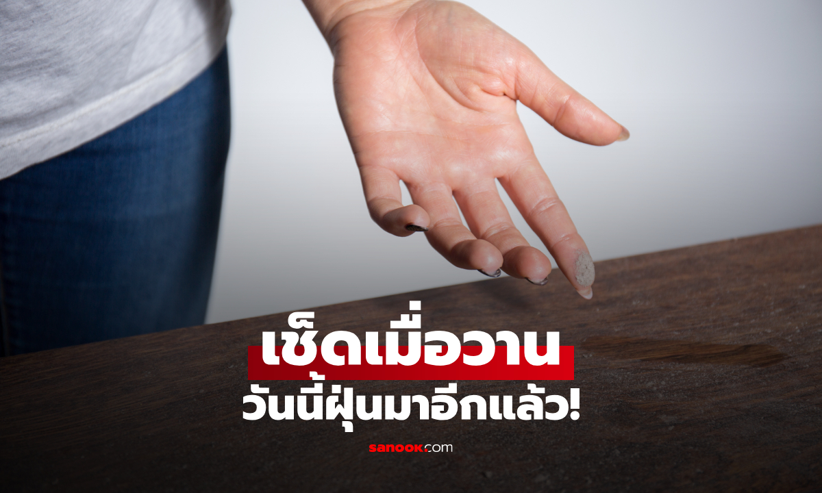 ทำไมบ้านมีฝุ่น ทั้งที่เพิ่งเช็ดไปเมื่อวาน? 5 เหตุผลที่ฝุ่นกลับมาเร็ว