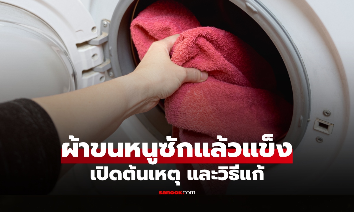 ผ้าขนหนูแข็งหลังซัก แก้ยังไง? เปิดสาเหตุ พร้อมวิธีทำให้กลับมานุ่มฟูเหมือนใหม่