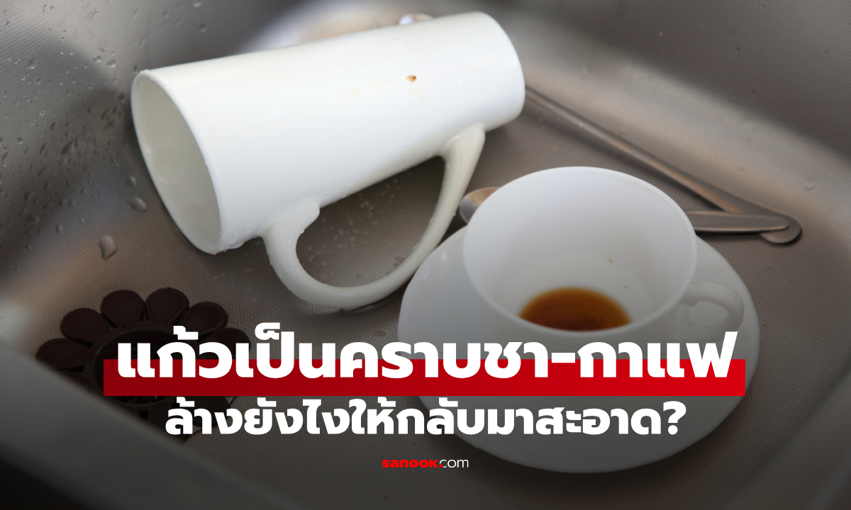 ภาพวิธีล้างคราบชา-กาแฟในแก้ว คราบฝังแน่นก็ออก ด้วยของใกล้ตัว