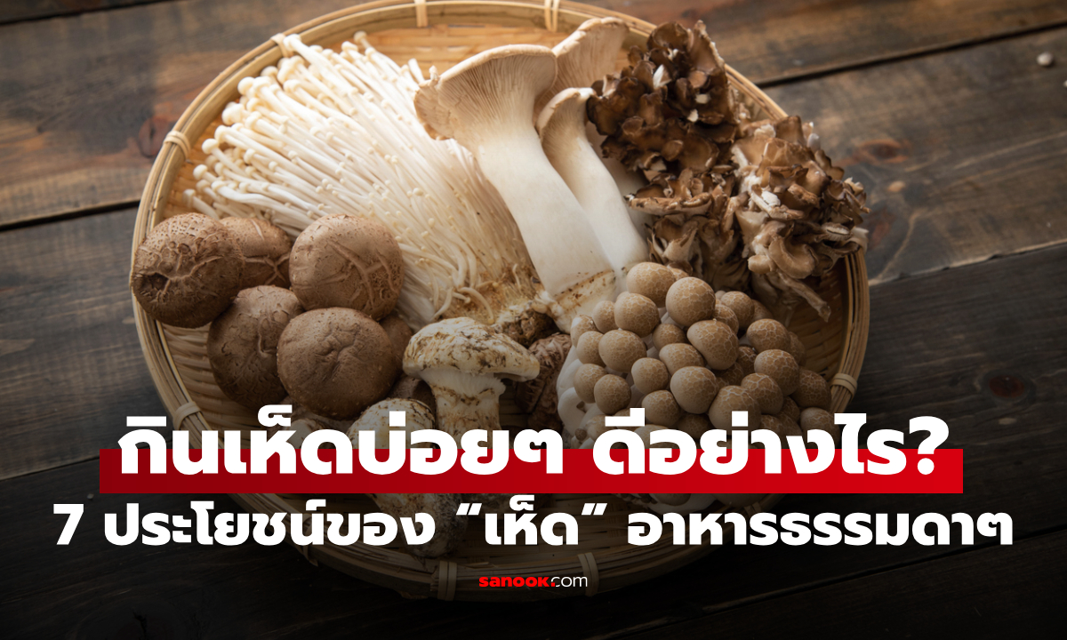 กินเห็ดบ่อยๆ ดีอย่างไร? เปิด 7 ประโยชน์ที่หลายคนอาจไม่เคยรู้