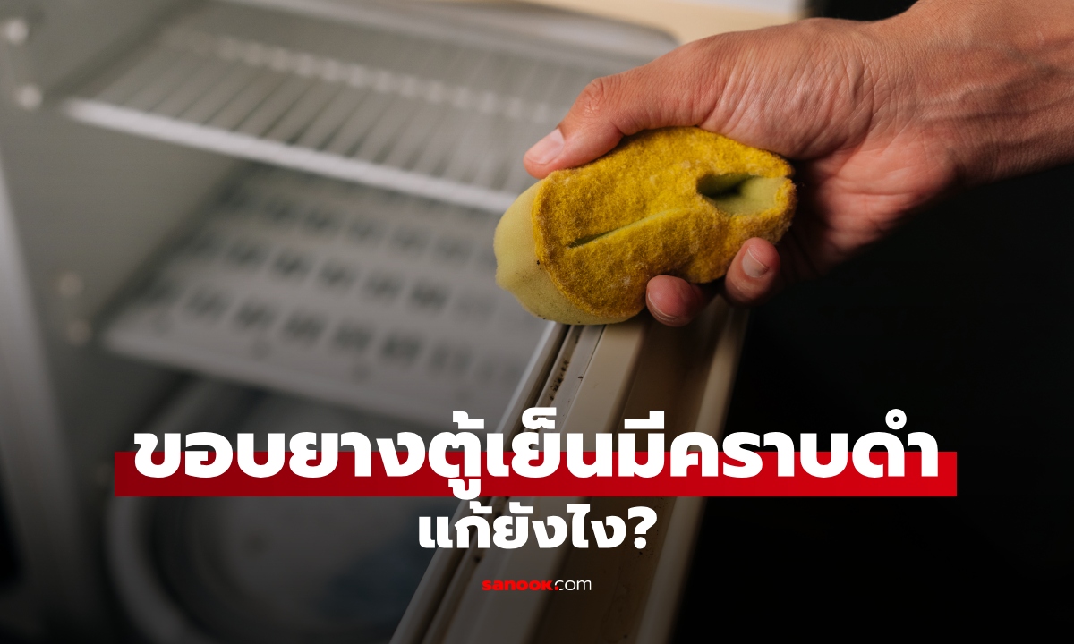 ขอบยางตู้เย็นมีคราบดำ ทำความสะอาดอย่างไร? วิธีง่ายๆ ไม่ให้ยางเสีย