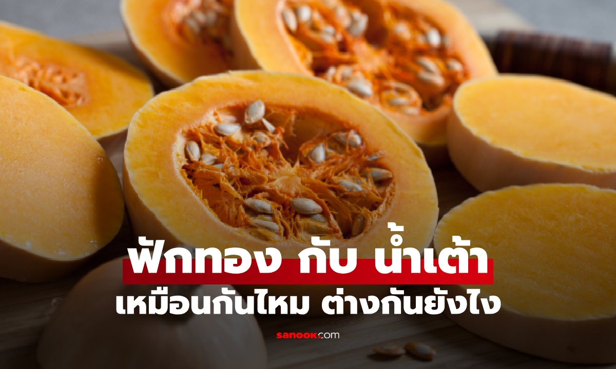 สับสนทุกที! ฟักทอง กับ น้ำเต้า เหมือนกันไหม ต่างกันยังไง?