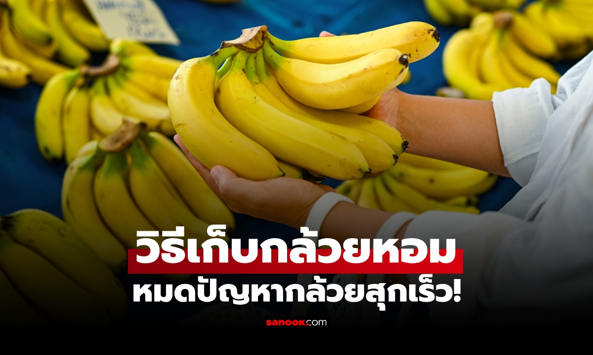 วิธี "เก็บกล้วยหอม" ไม่ให้สุกเร็ว หมดปัญหากล้วยงอม ทานไม่ทัน