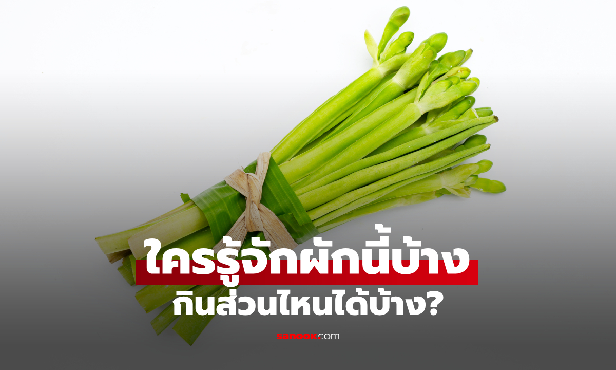 ผักก้านจองคืออะไร? รู้จักผักพื้นบ้านหน้าตาแปลก กินได้ ทำเมนูอะไรอร่อย