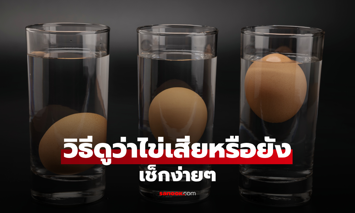 วิธีดูว่าไข่เสียหรือยัง เช็กง่ายๆ ด้วยน้ำเปล่าและสังเกต 3 จุด