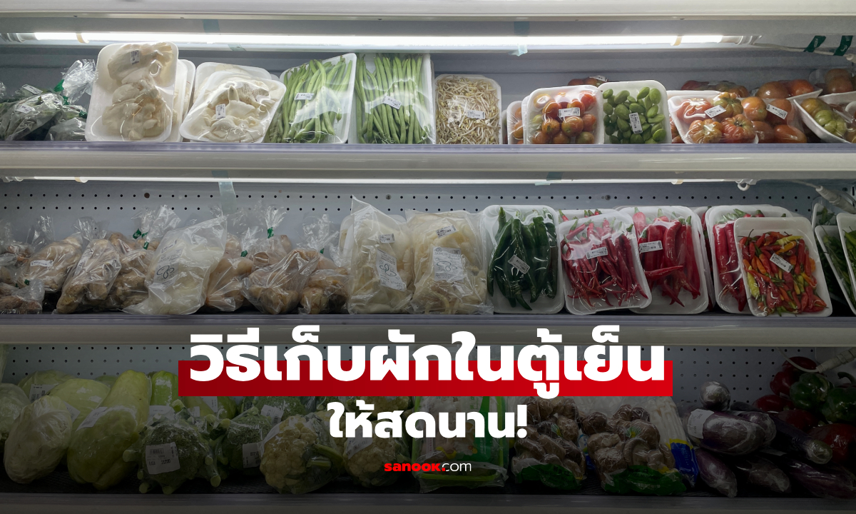 วิธีเก็บผักให้อยู่ได้นาน ไม่เหี่ยวไม่เน่าเร็ว ช่วยลดอาหารเหลือทิ้ง