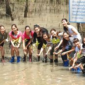 44 สาวงามเก็บตัวสุราษฎร์