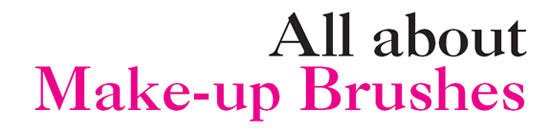คุณรู้จัก แปรงแต่งหน้า คู่ใจดีพอแล้วหรือ?