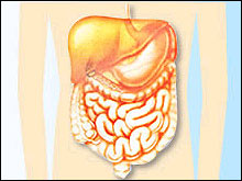 การทำ DETOX ล้างลำไส้