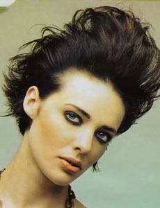 แบบผม Quiff (เน้นปอยผมด้านหน้า) ปี 2009