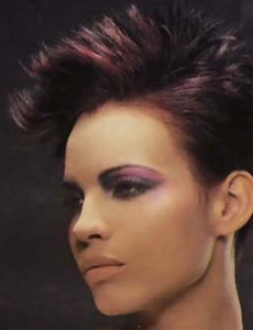 แบบผม Quiff (เน้นปอยผมด้านหน้า) ปี 2009